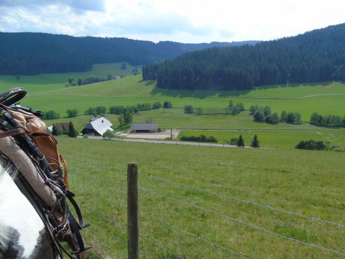 Family-run riding stable in the southern Black Forest