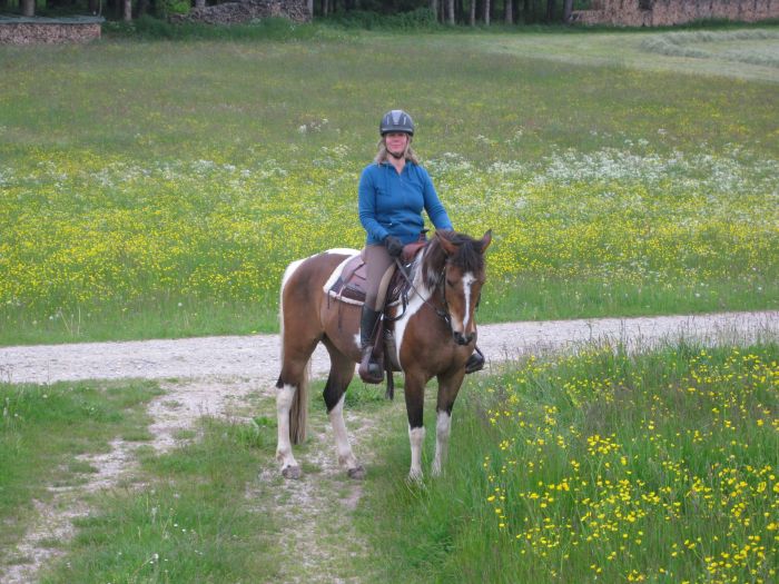 Family-run riding stable in the southern Black Forest