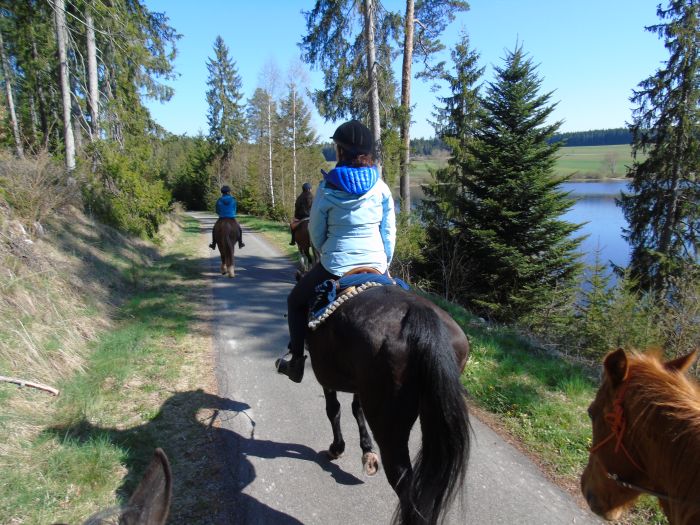 Family-run riding stable in the southern Black Forest