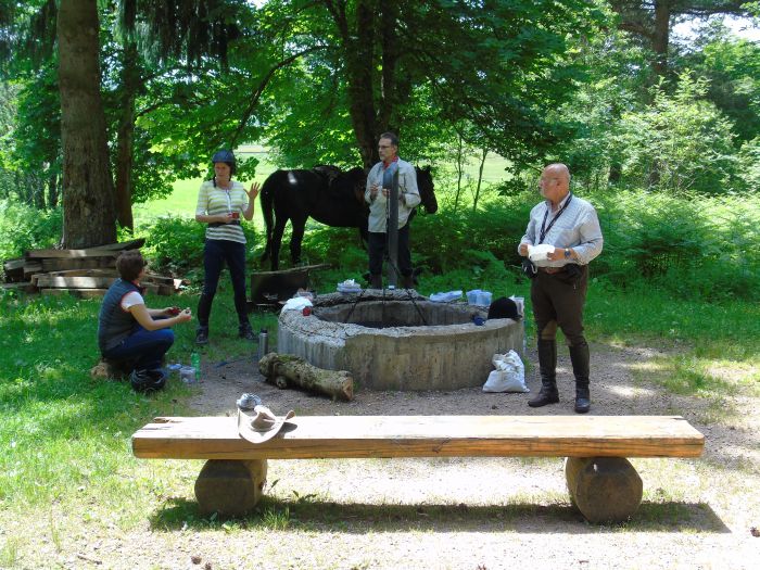 Family-run riding stable in the southern Black Forest