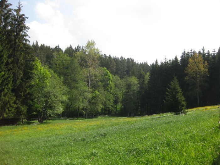 Family-run riding stable in the southern Black Forest