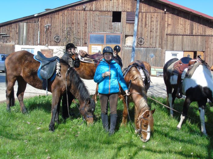 Family-run riding stable in the southern Black Forest