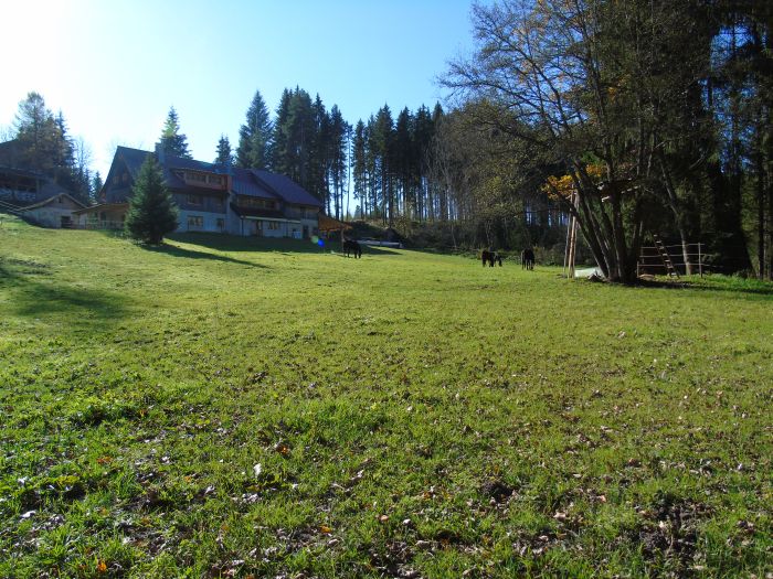 Family-run riding stable in the southern Black Forest