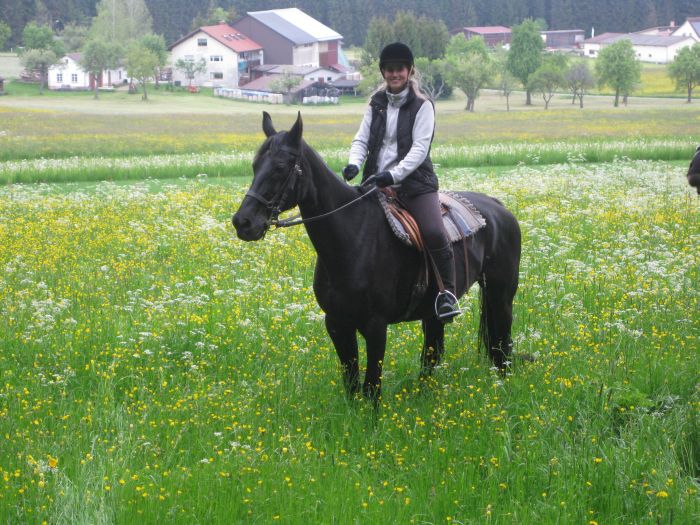 Family-run riding stable in the southern Black Forest