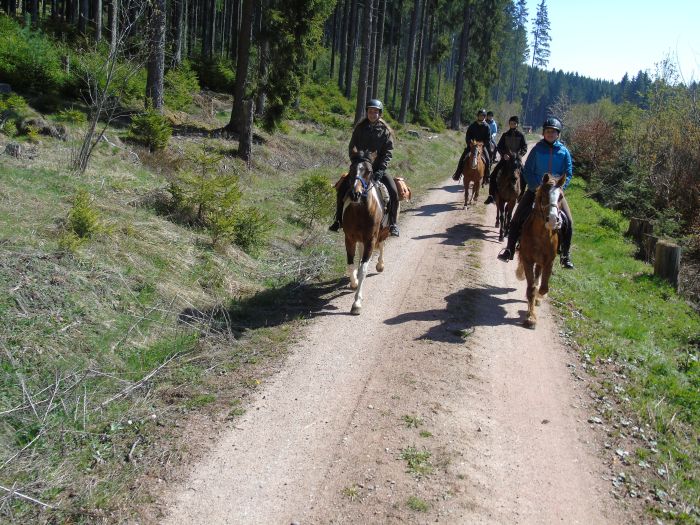 Family-run riding stable in the southern Black Forest