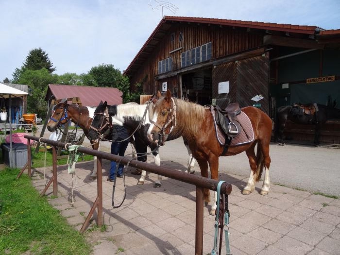 Family-run riding stable in the southern Black Forest