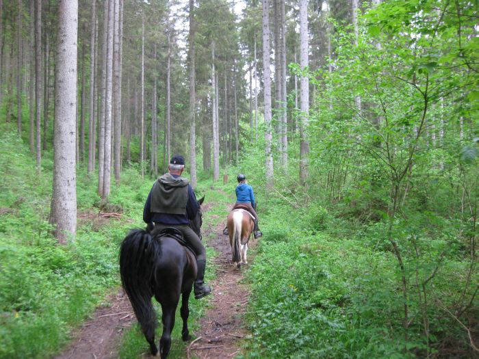 Family-run riding stable in the southern Black Forest