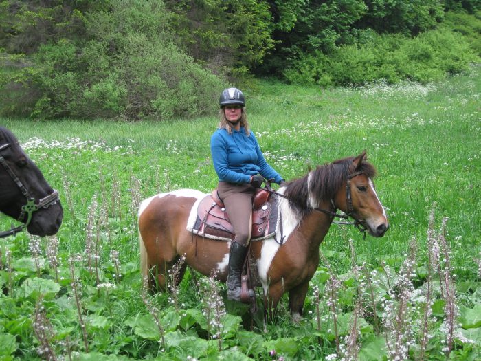 Family-run riding stable in the southern Black Forest