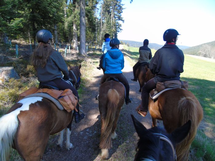 Family-run riding stable in the southern Black Forest