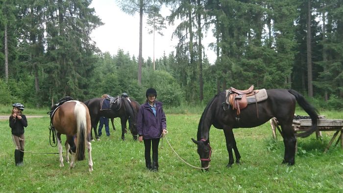 Family-run riding stable in the southern Black Forest