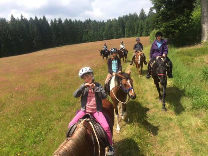 Family-run riding stable in the southern Black Forest