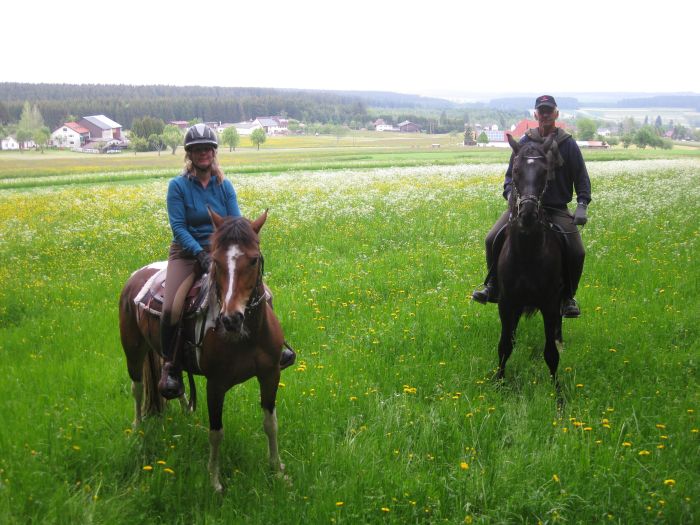 Family-run riding stable in the southern Black Forest