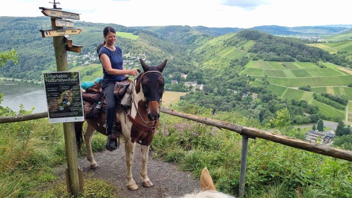 Trail rides in Hunsrück and Northern Palatine