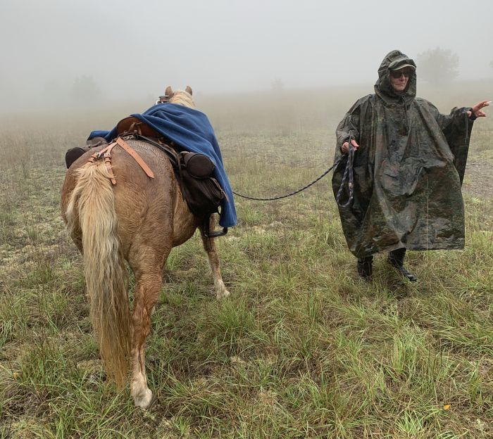 Trail rides in Hunsrück and Northern Palatine