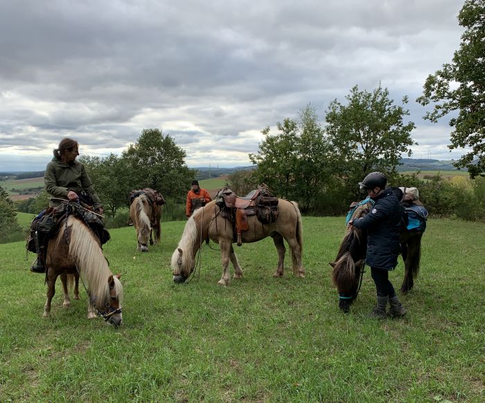 Trail rides in Hunsrück and Northern Palatine