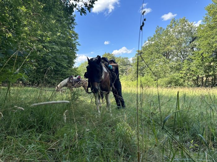 Trail rides in Hunsrück and Northern Palatine