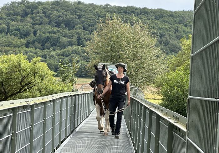 Trail rides in Hunsrück and Northern Palatine