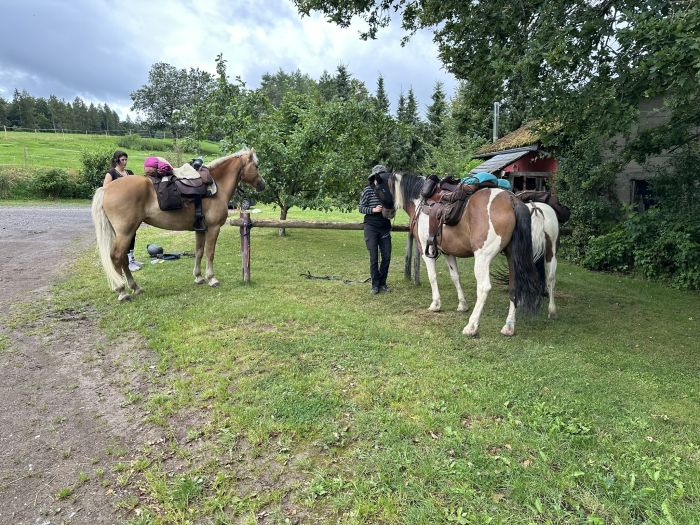 Trail rides in Hunsrück and Northern Palatine