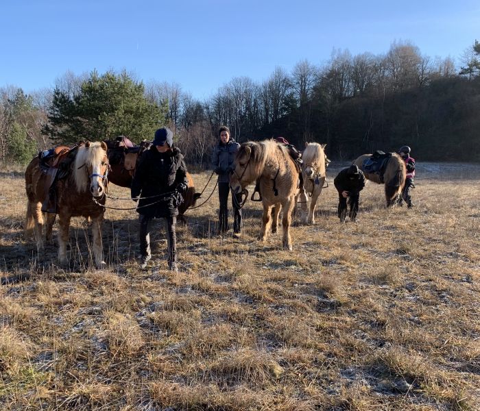 Trail rides in Hunsrück and Northern Palatine
