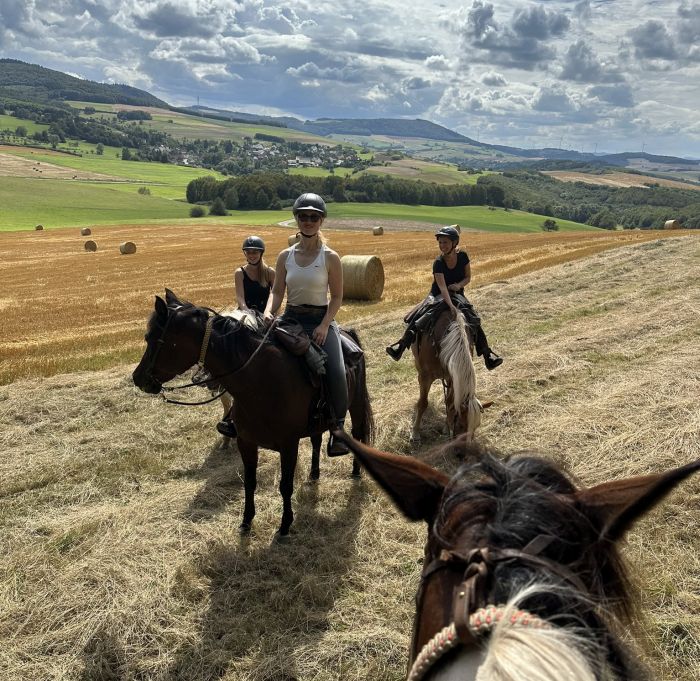 Trail rides in Hunsrück and Northern Palatine