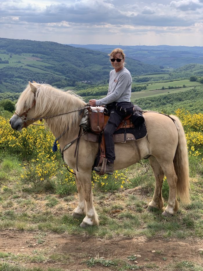 Trail rides in Hunsrück and Northern Palatine