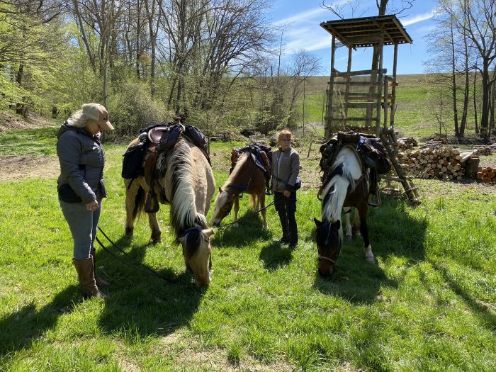 Trail rides in Hunsrück and Northern Palatine