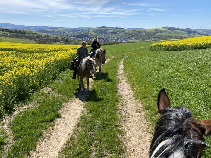 Trail rides in Hunsrück and Northern Palatine