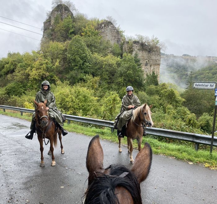 Trail rides in Hunsrück and Northern Palatine