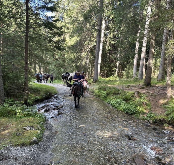 Trail rides in Hunsrück and Northern Palatine