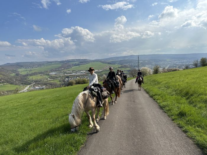 Trail rides in Hunsrück and Northern Palatine