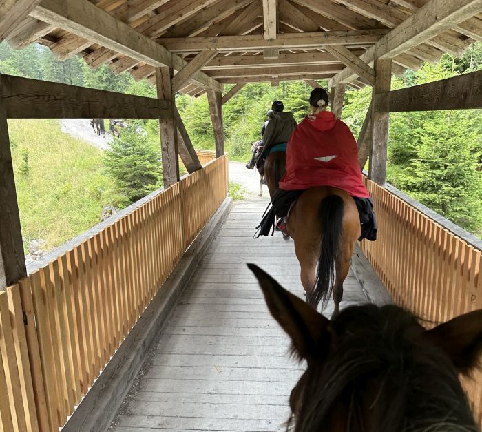 Trail rides in Hunsrück and Northern Palatine