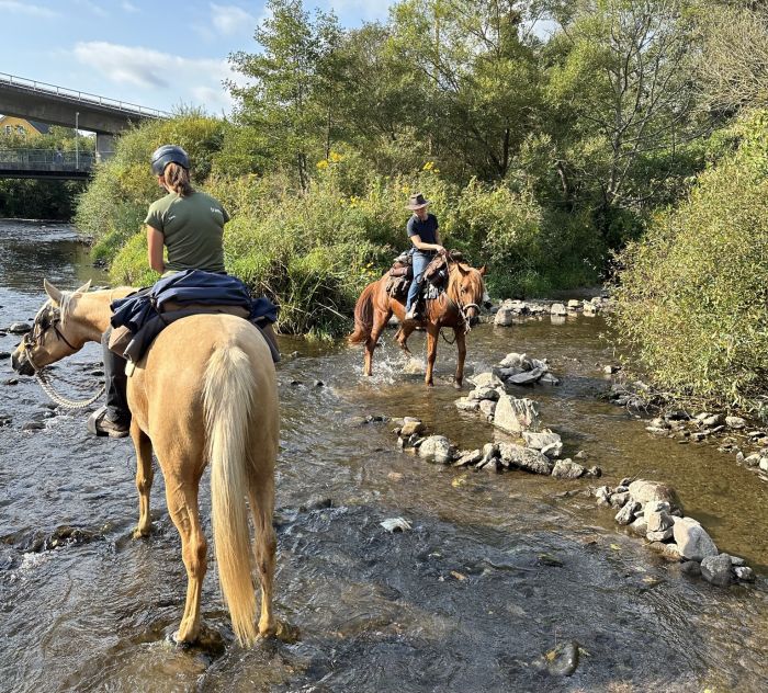 Trail rides in Hunsrück and Northern Palatine