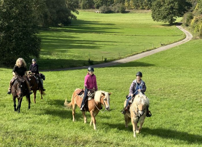 Trail rides in Hunsrück and Northern Palatine