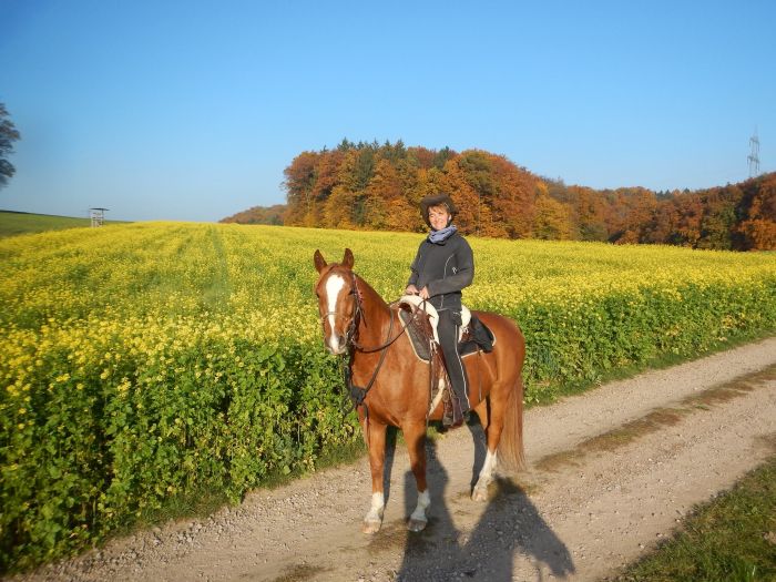 Trail rides in Hunsrück and Northern Palatine