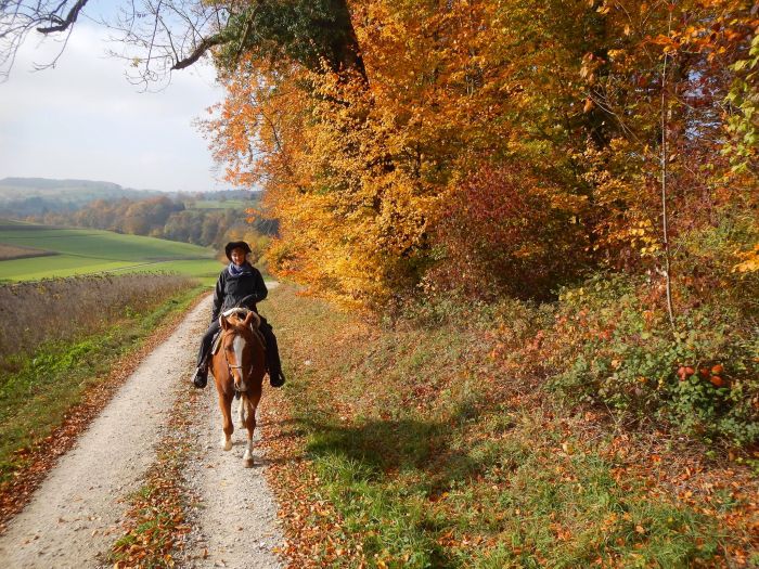 Trail rides in Hunsrück and Northern Palatine