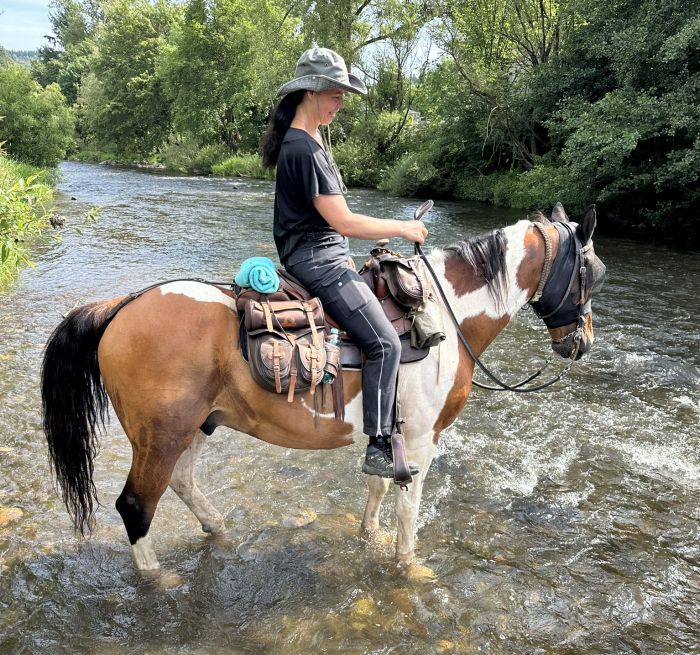 Trail rides in Hunsrück and Northern Palatine