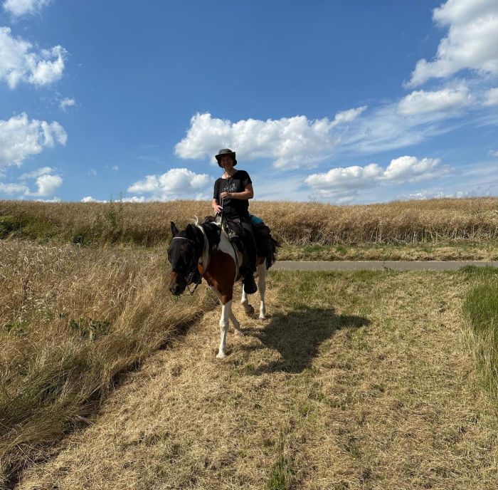 Trail rides in Hunsrück and Northern Palatine