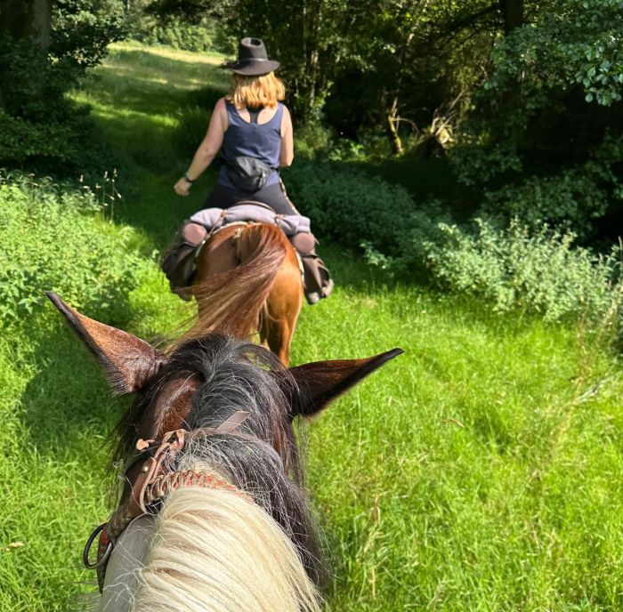 Trail rides in Hunsrück and Northern Palatine