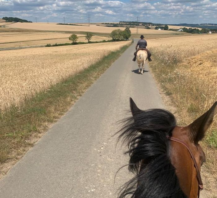 Trail rides in Hunsrück and Northern Palatine