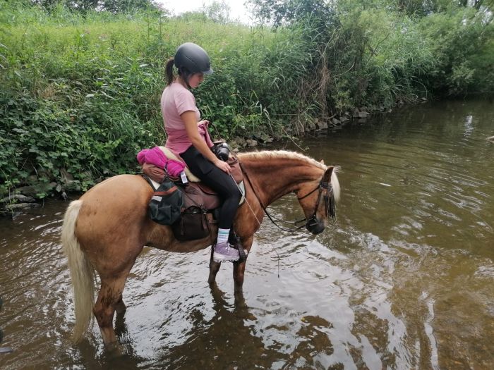 Trail rides in Hunsrück and Northern Palatine