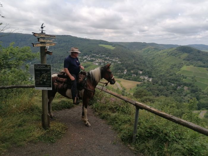 Trail rides in Hunsrück and Northern Palatine
