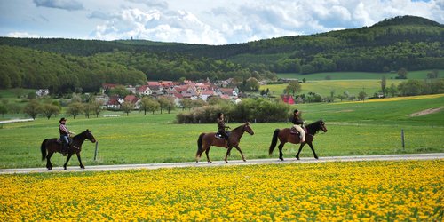 Western riding vacation in the Rhön