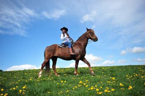Western riding vacation in the Rhön