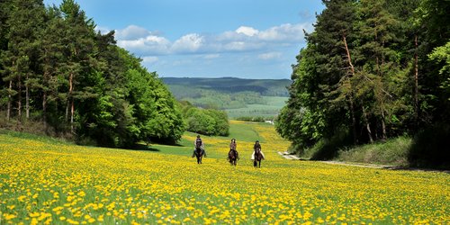 Western riding vacation in the Rhön
