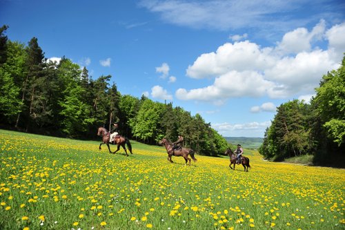 Western riding vacation in the Rhön