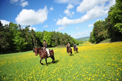 Western riding vacation in the Rhön