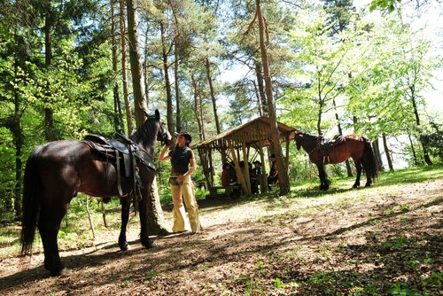 Western riding vacation in the Rhön