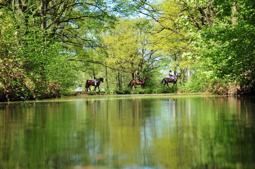 Western riding vacation in the Rhön