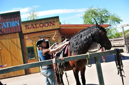 Western riding vacation in the Rhön