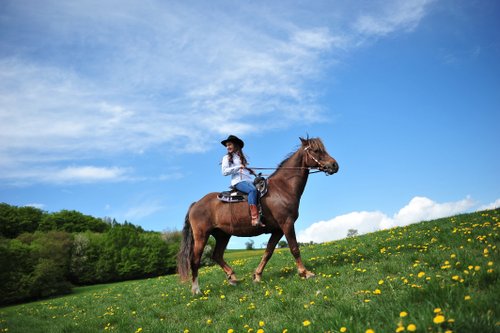 Western riding vacation in the Rhön